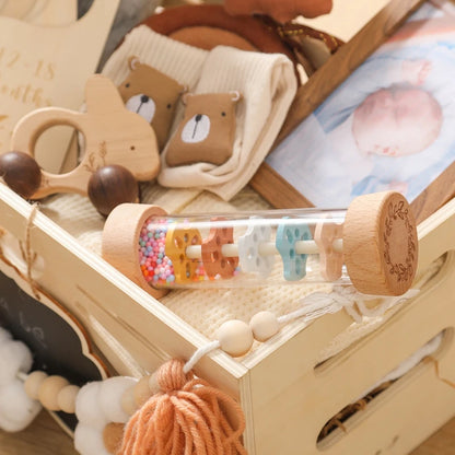 Montessori Baby Rain Stick Rainbow